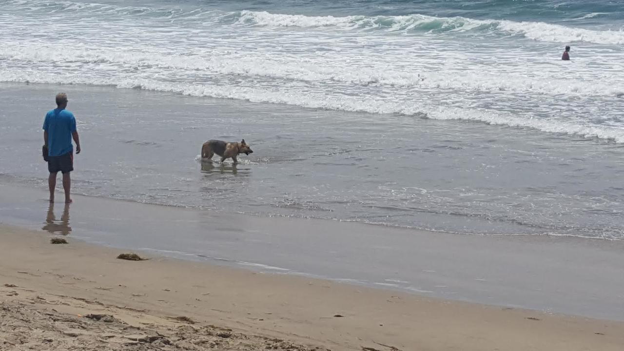 Playa Hermosa Inn At The Beach Ensenada Eksteriør billede